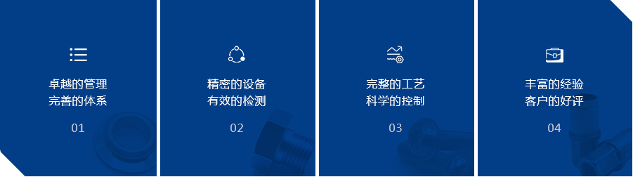 核心優(yōu)勢 核心優(yōu)勢